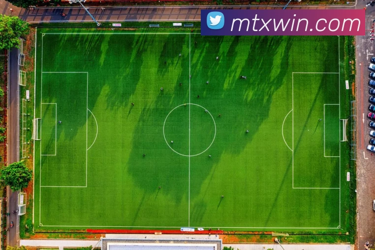 满天星娱乐城官网APP 封面图